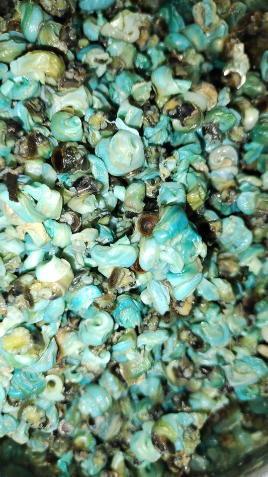 Periwinkle/Isam 1 pound