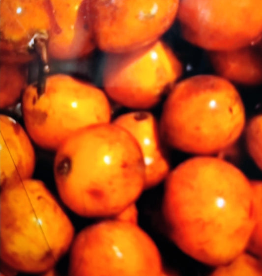 Udala/Agbalumo