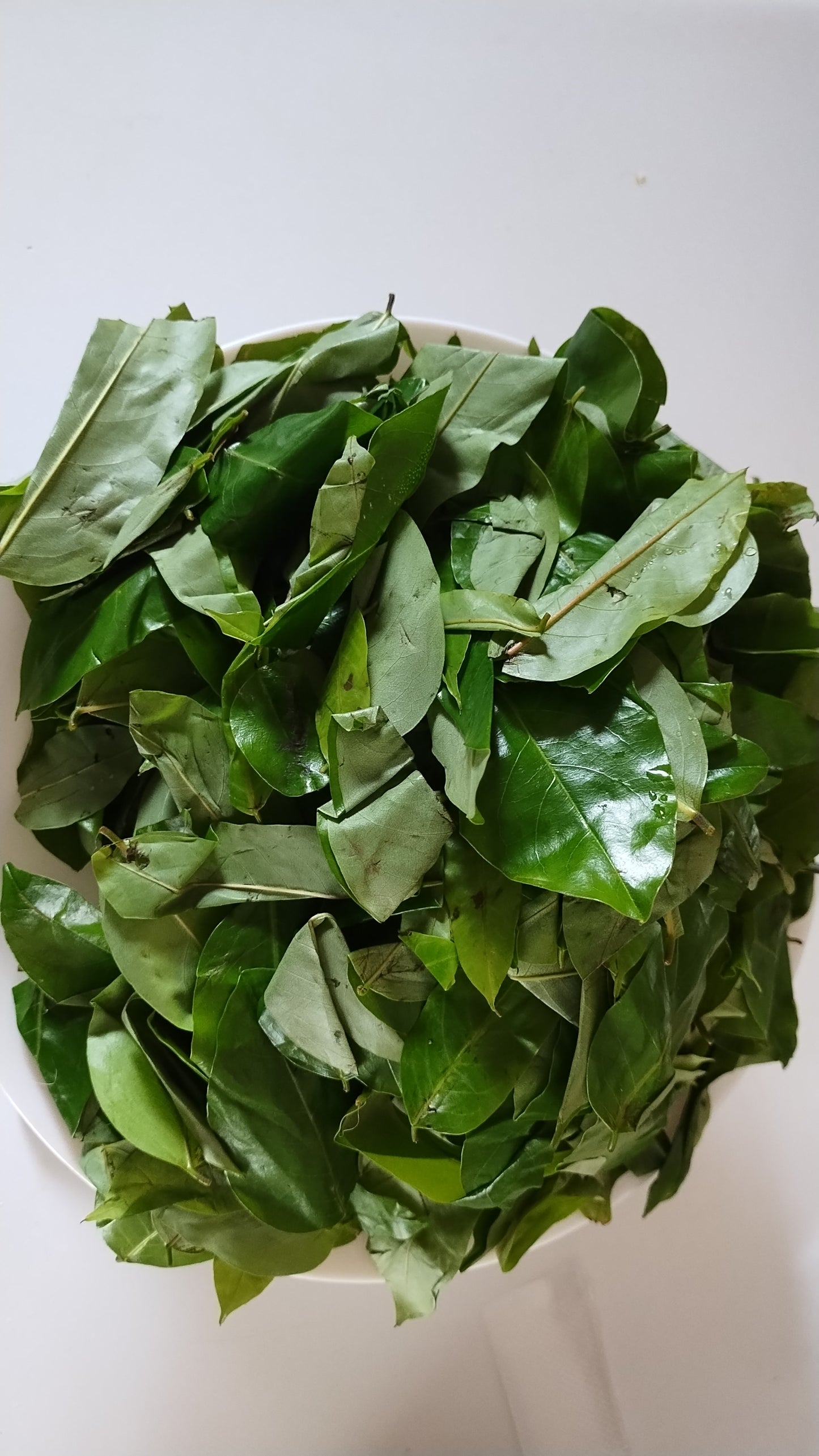 Fresh Oha/Ora