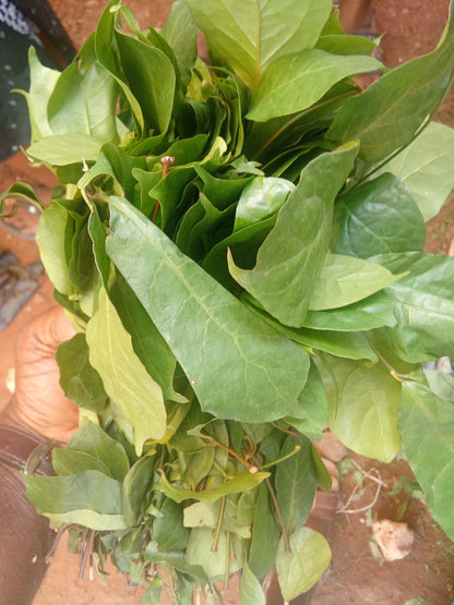 Fresh Okazi